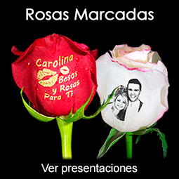 Rosas naturales personalizadas